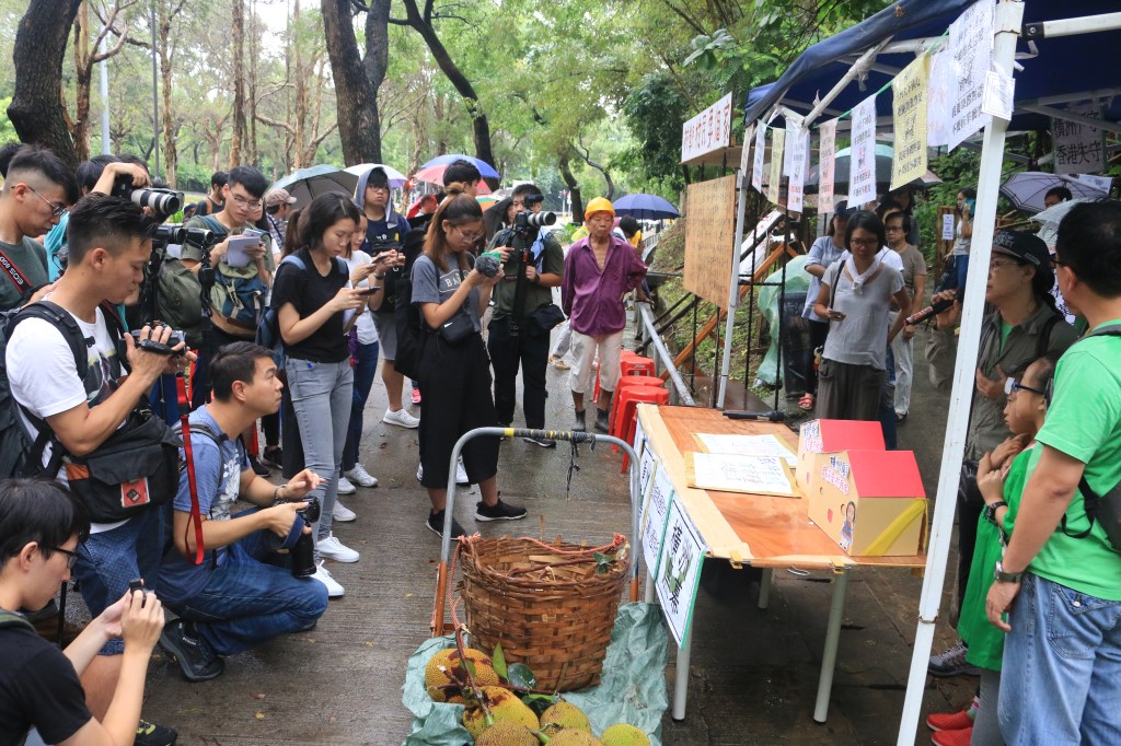綠化帶與居住權的假對立