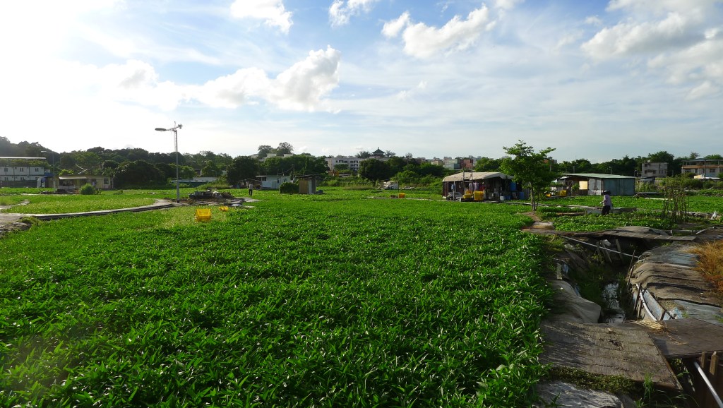 程序正義得個講 鄉村農區被規劃