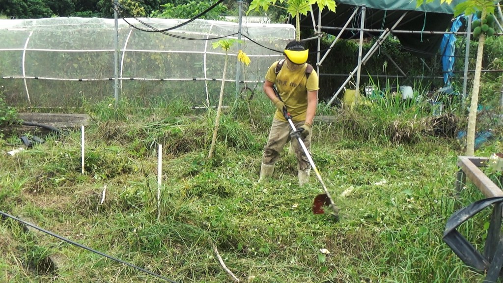 剪草機應用技巧