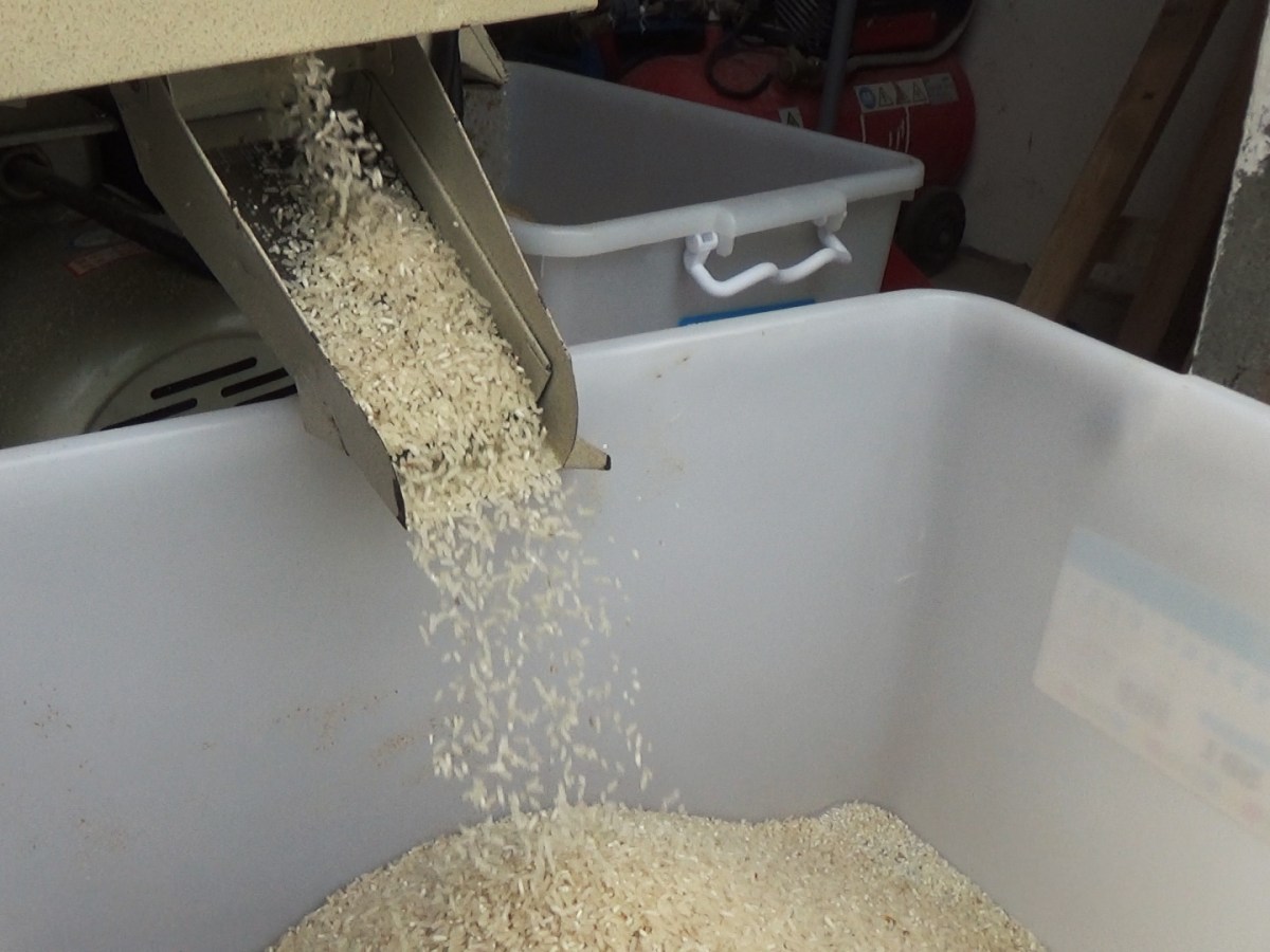 精磨本地新鮮靚米