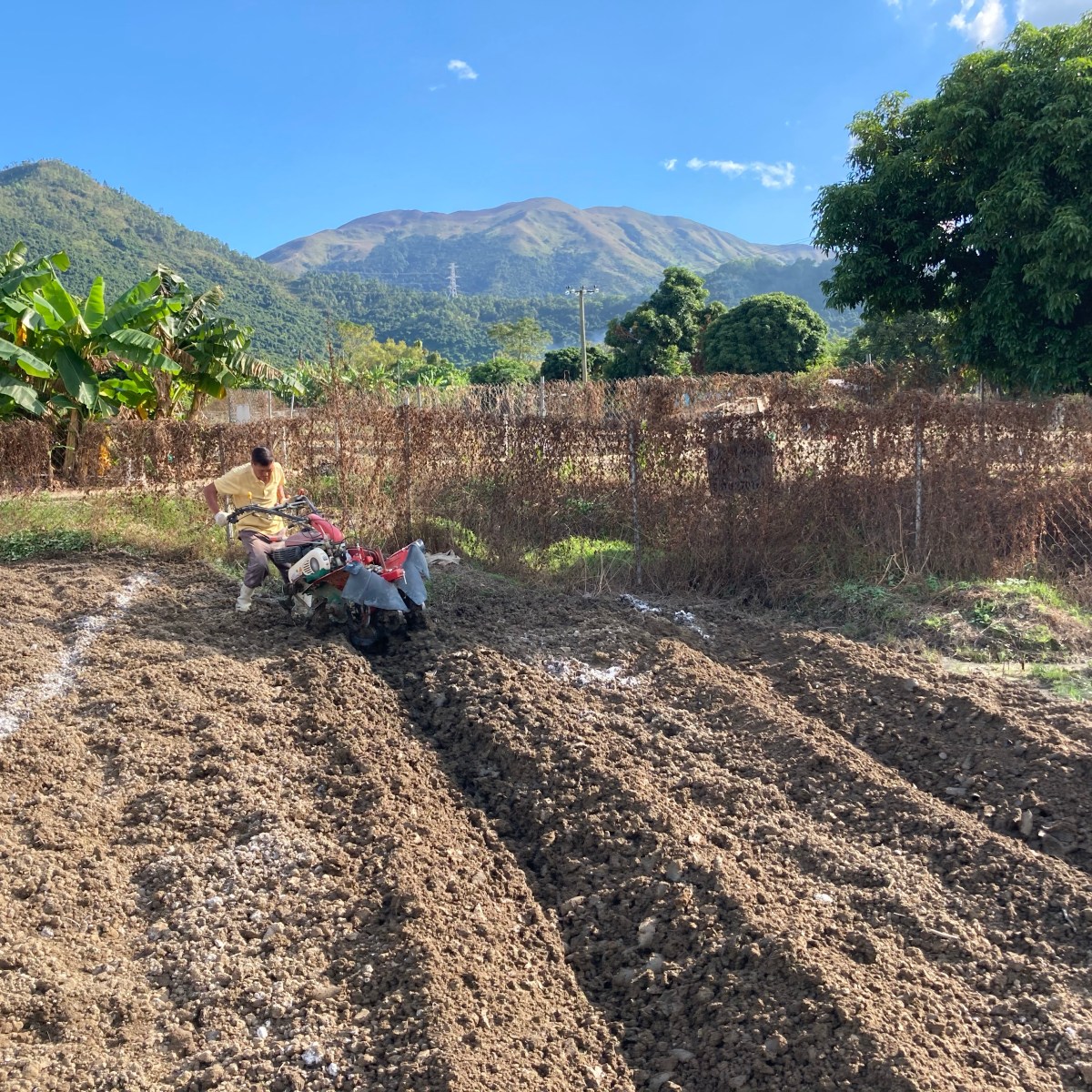 善用中耕機 起壢整齊飛溝快