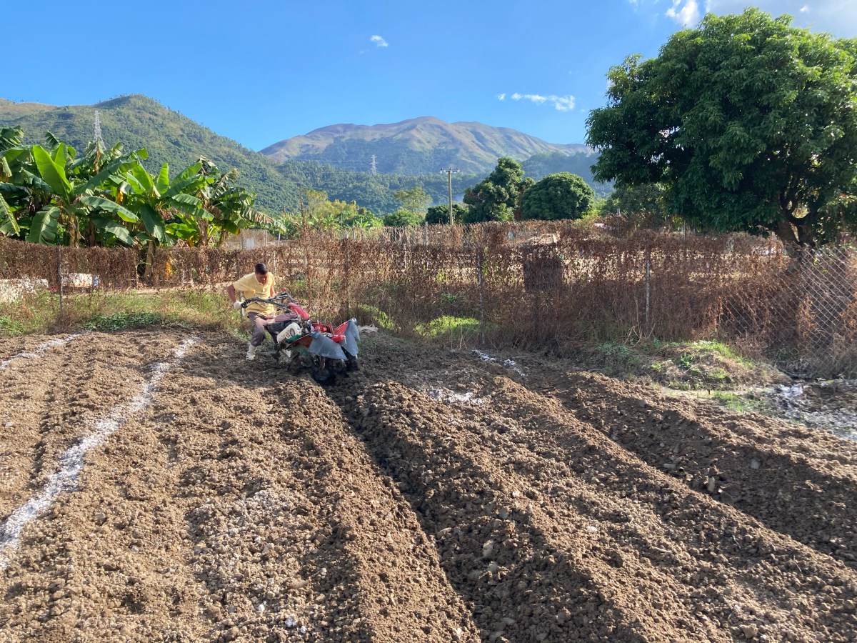 善用中耕機 起壢整齊飛溝快