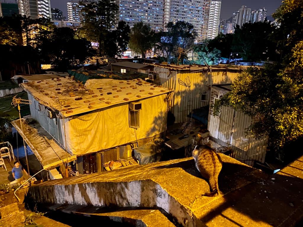 充權之路 不是組織者揚名立萬的時機