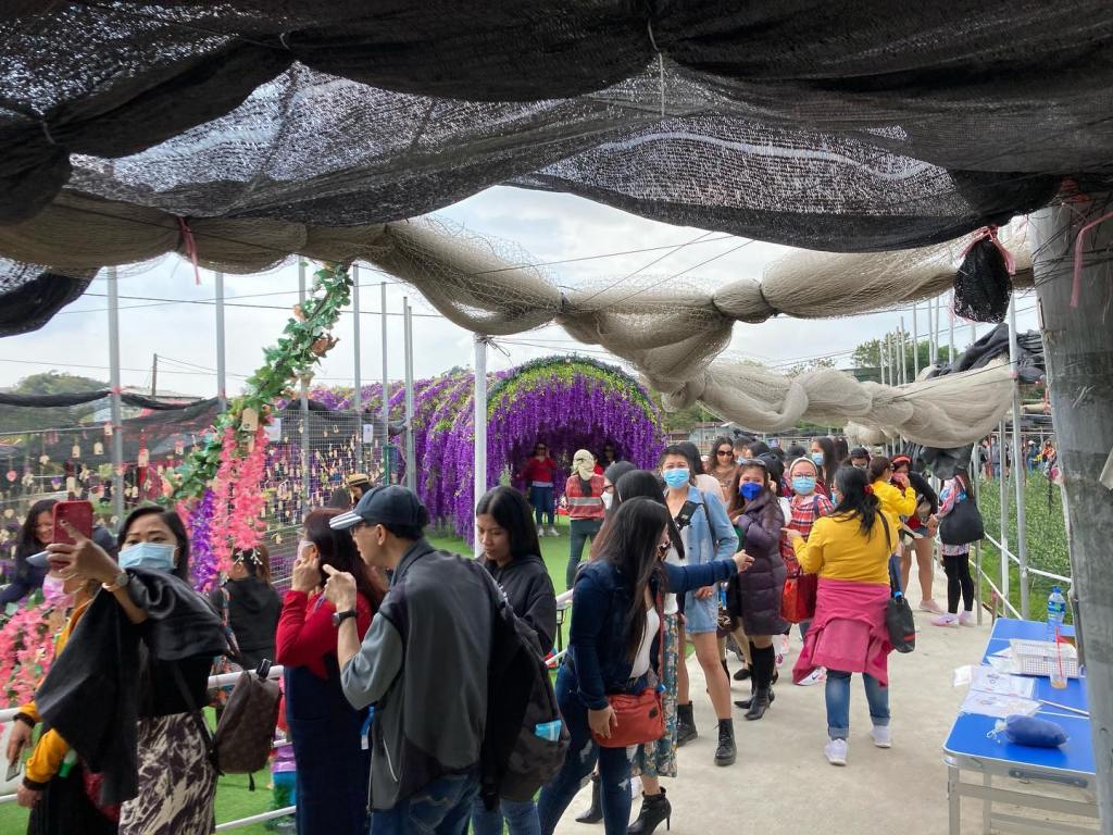 與其走馬看花打卡 不如深度發掘農村故事