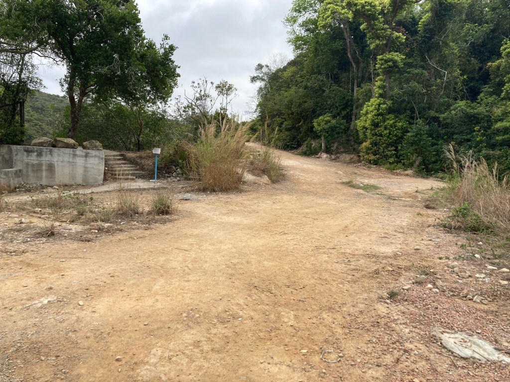 直指其非 vs 留一線&nbsp;NGO同工的不問不說