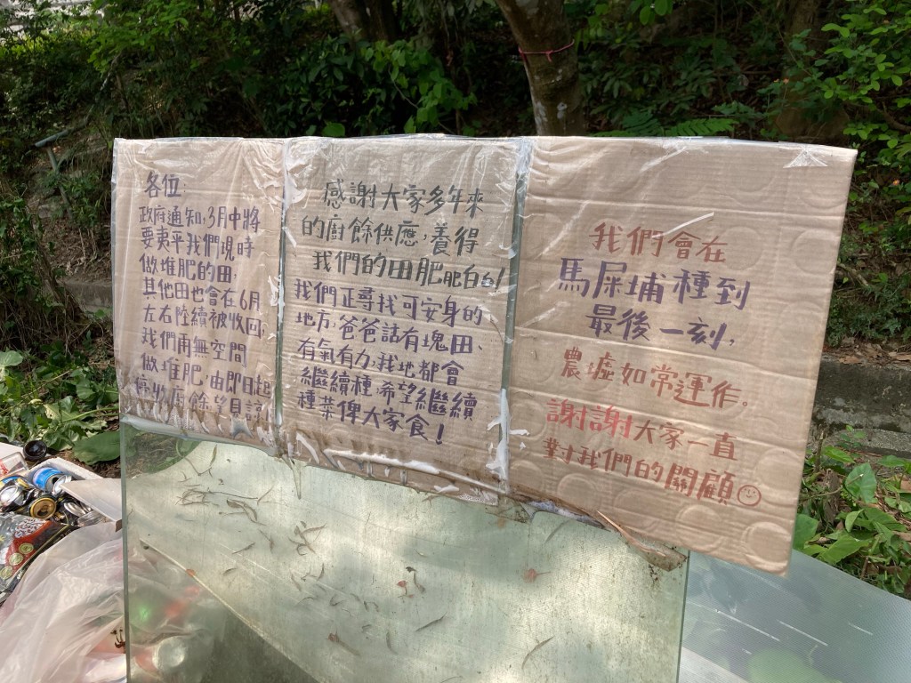 致敬致謝馬寶寶