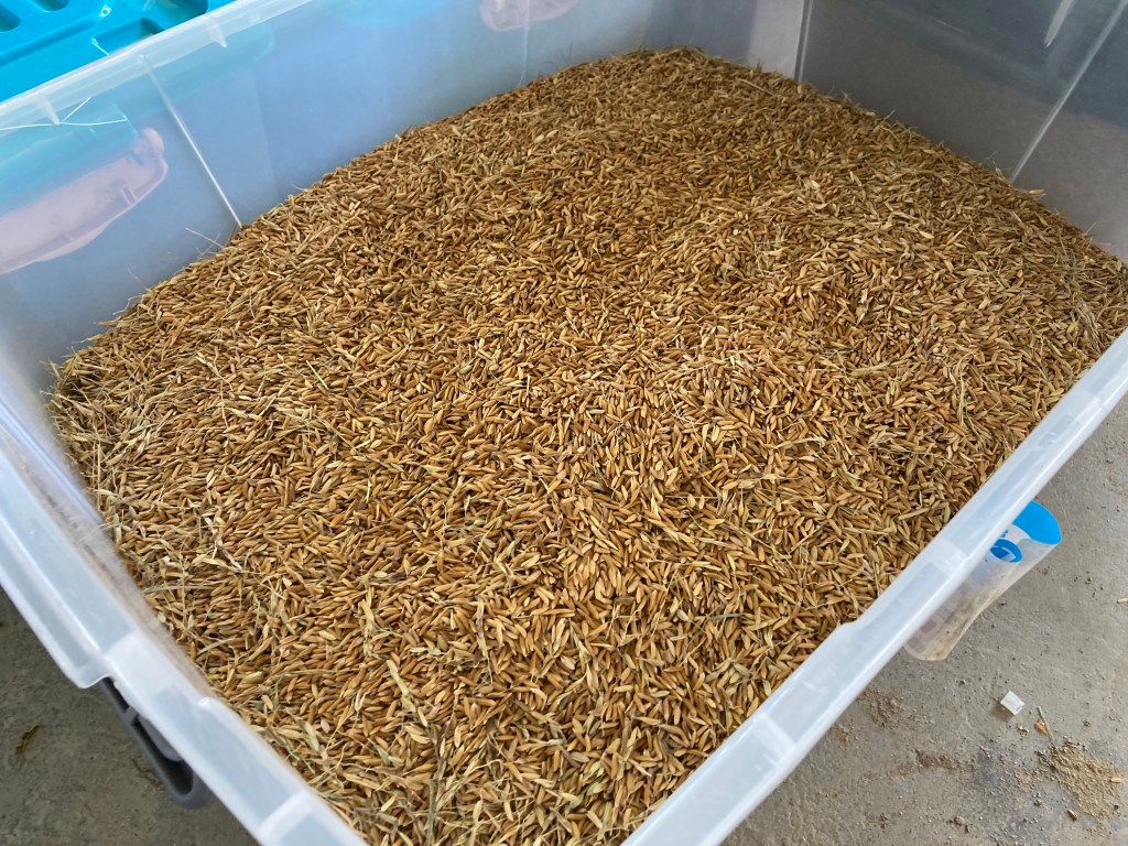 集結眾人經驗的路途