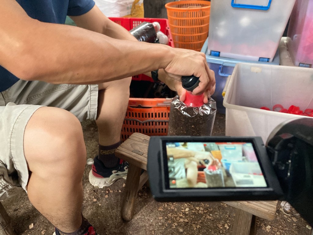 本地環保蠔菇生產全接觸