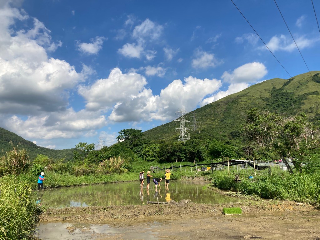 生產vs協作vs做好事 拉扯、匆忙、不斷變化和衝擊的青農生活
