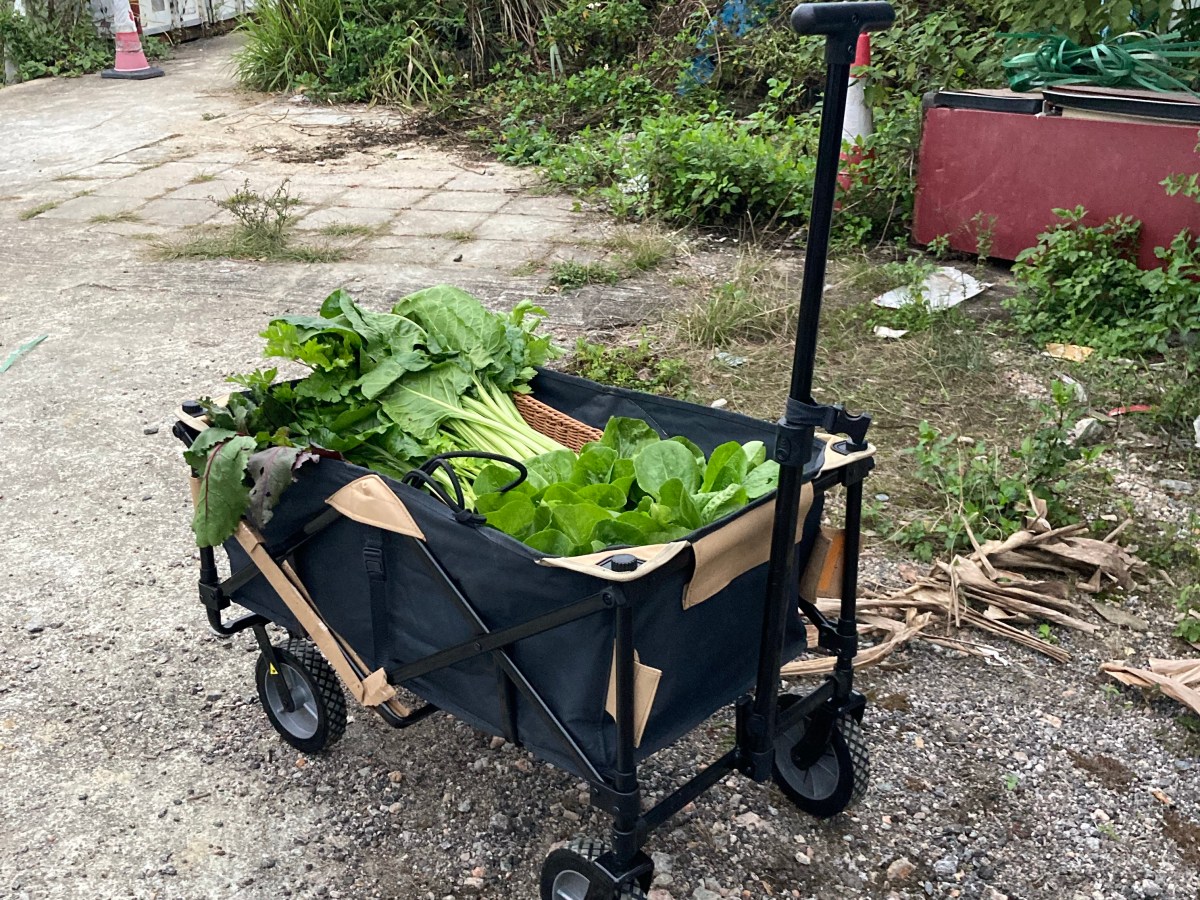 再寫農產運銷實踐與挑戰