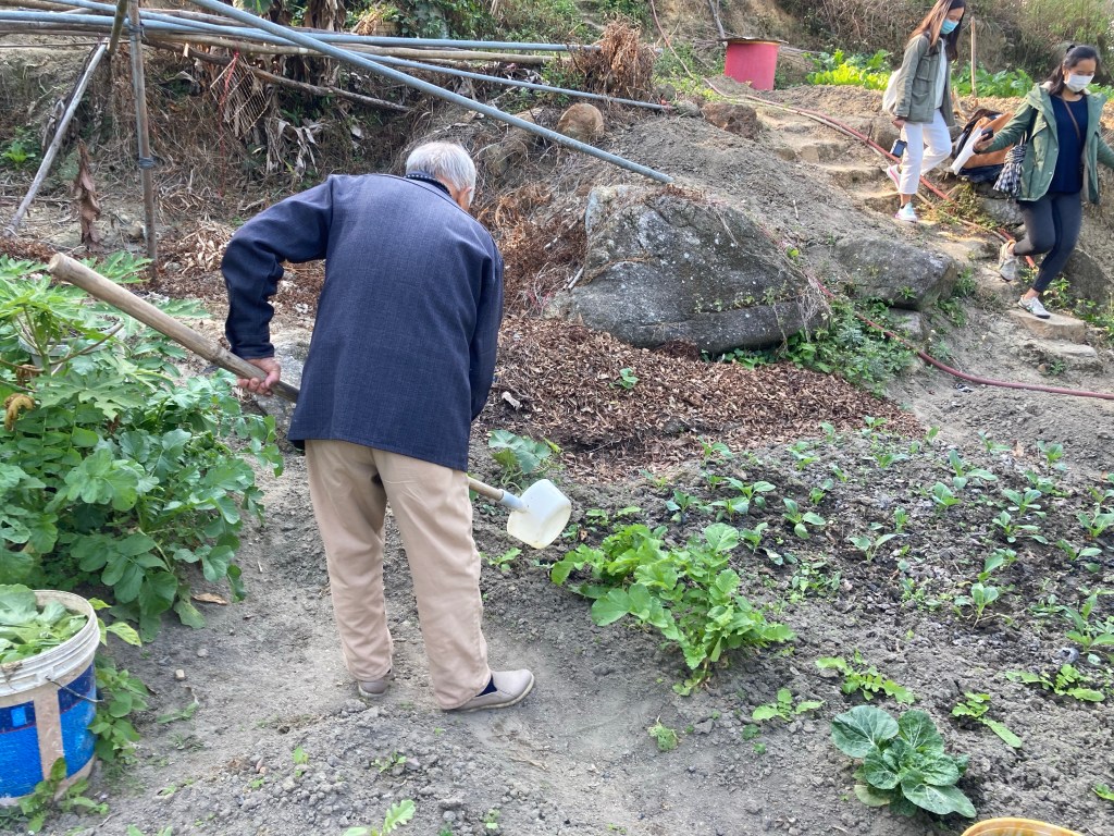 城規審議前夕，渴望守護家園之聲的最後吶喊