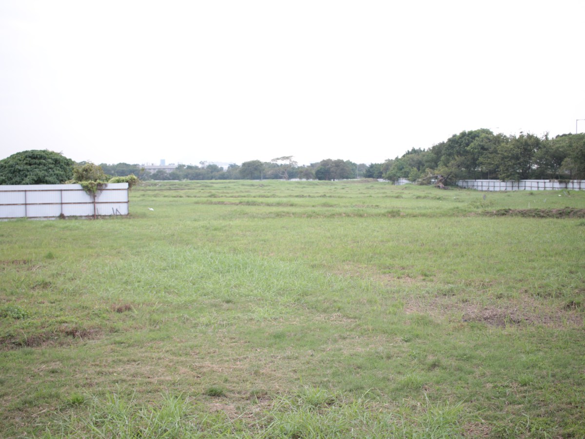 左翼（又）（被）失語？