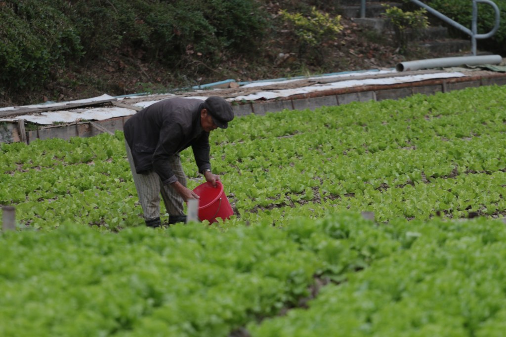 我們與肥料短缺的距離