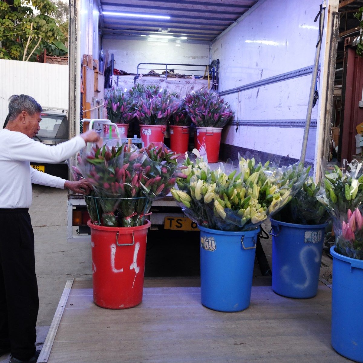 包裝百合有學問