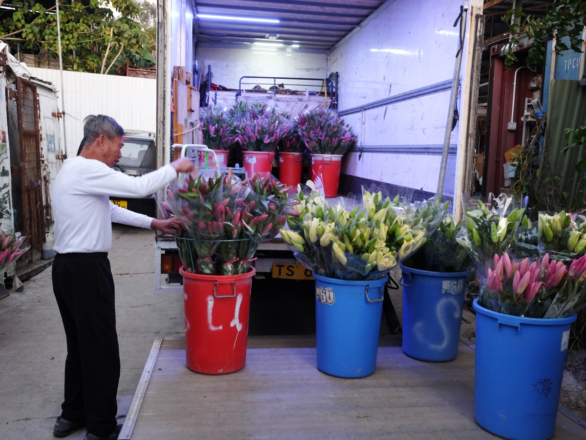 包裝百合有學問