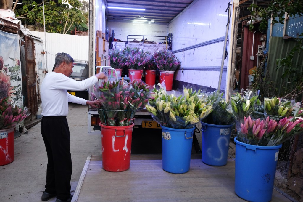 包裝百合有學問