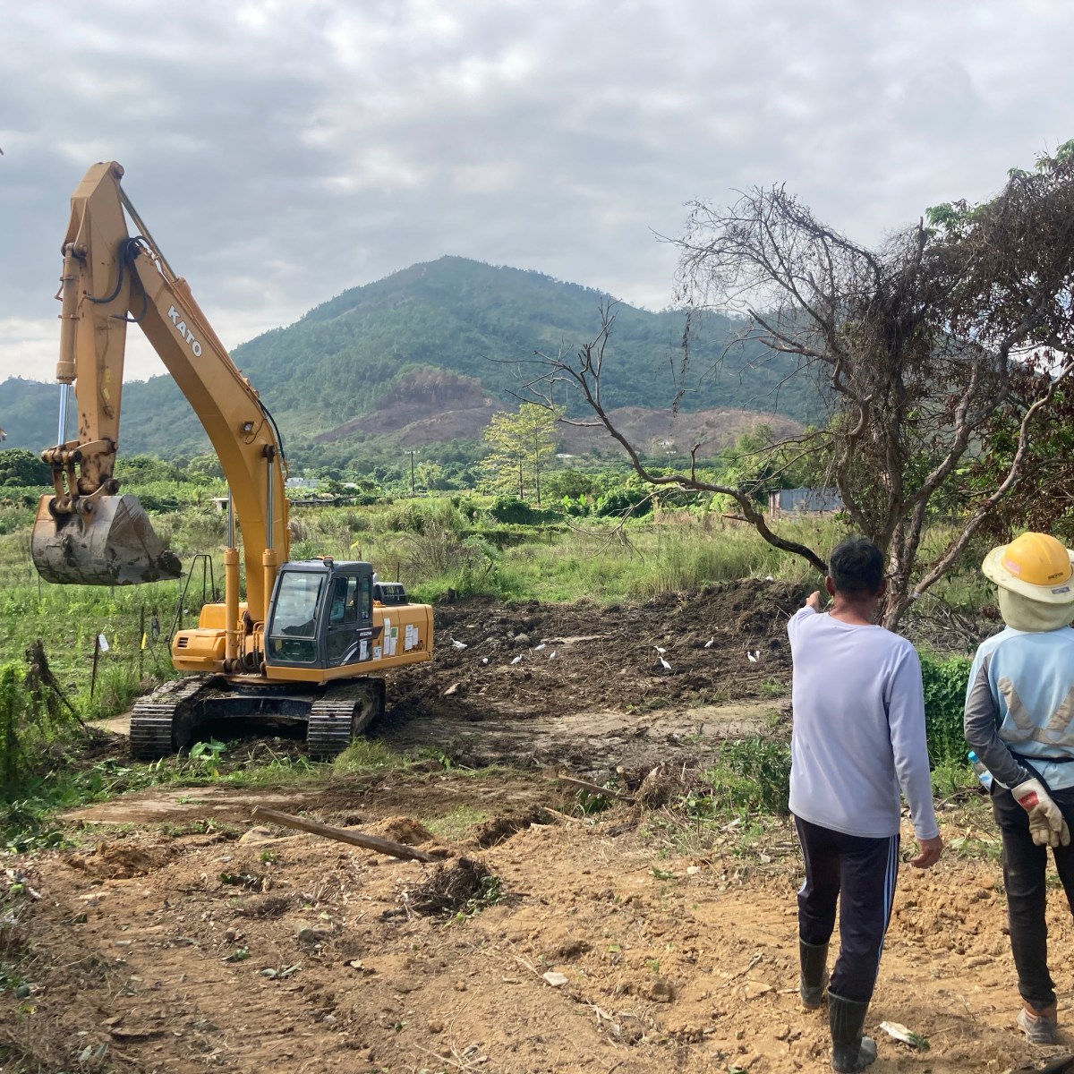 推土機下的對話