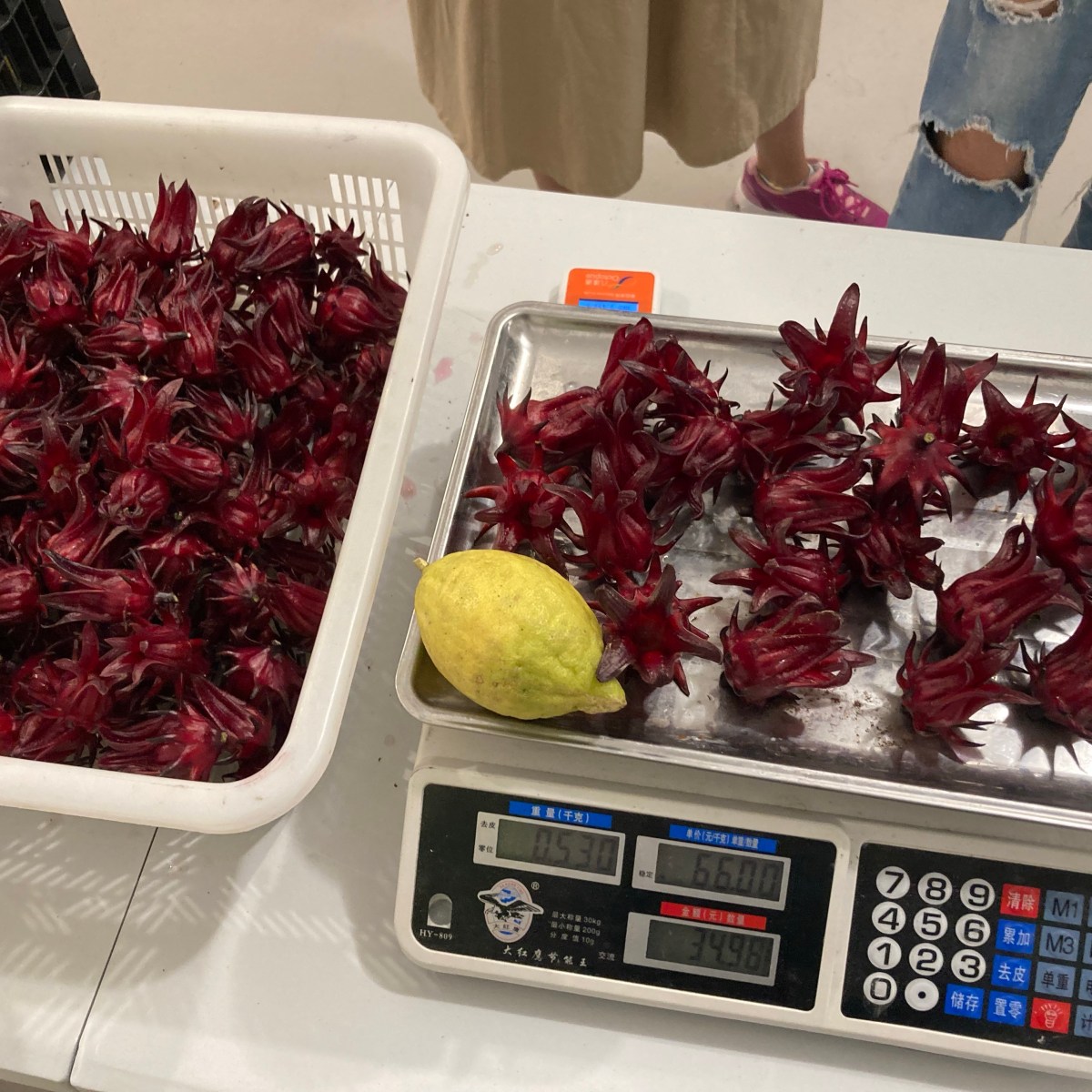 量度耕田成就：用農作物震懾消費者