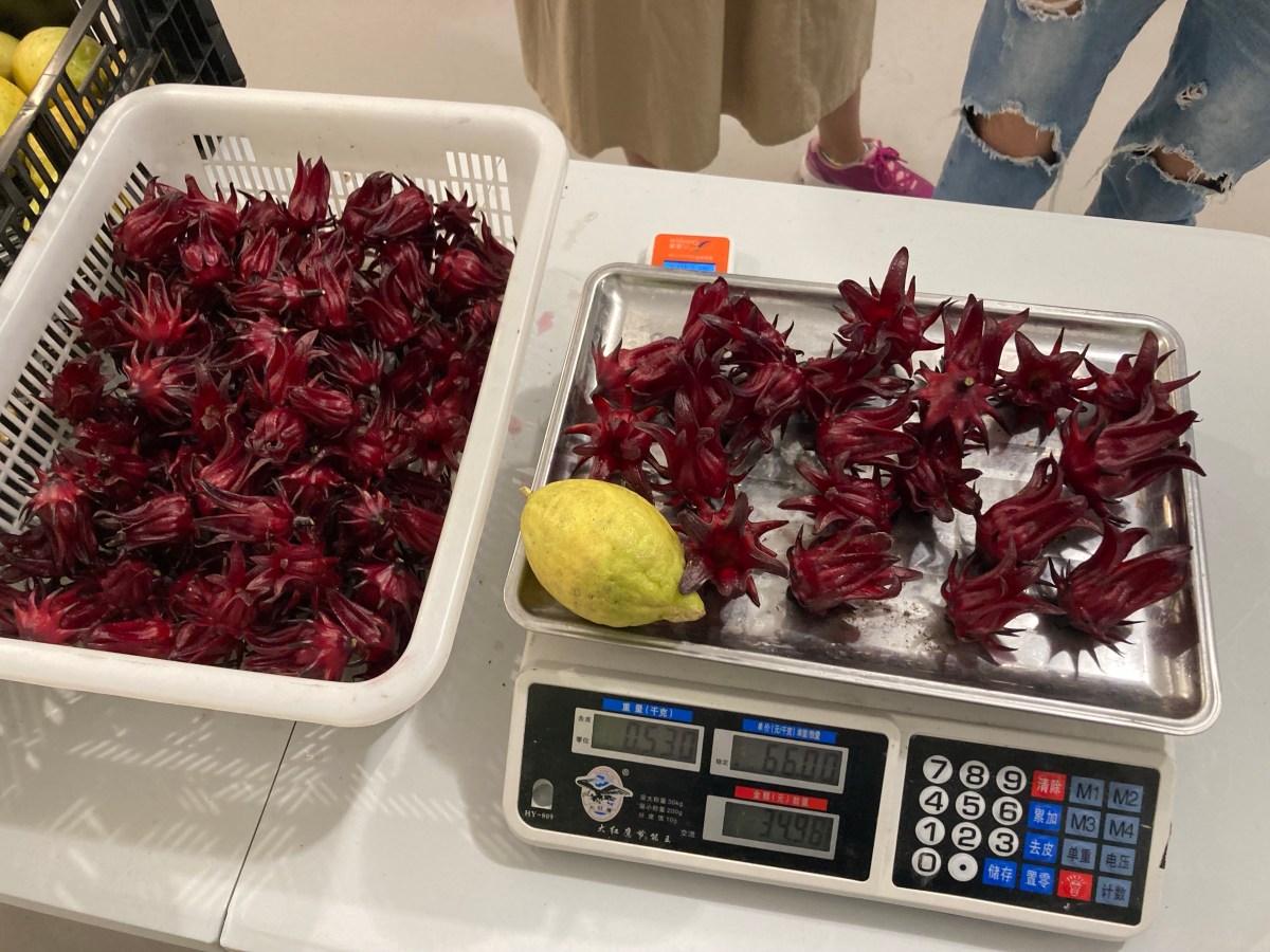 量度耕田成就：用農作物震懾消費者