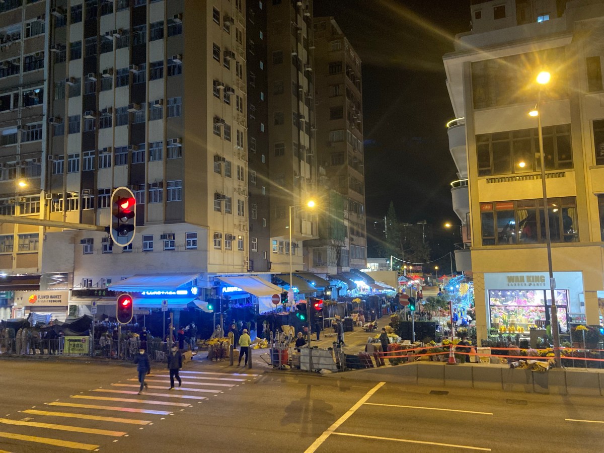 劍蘭量少價高 本地花農年尾衝刺