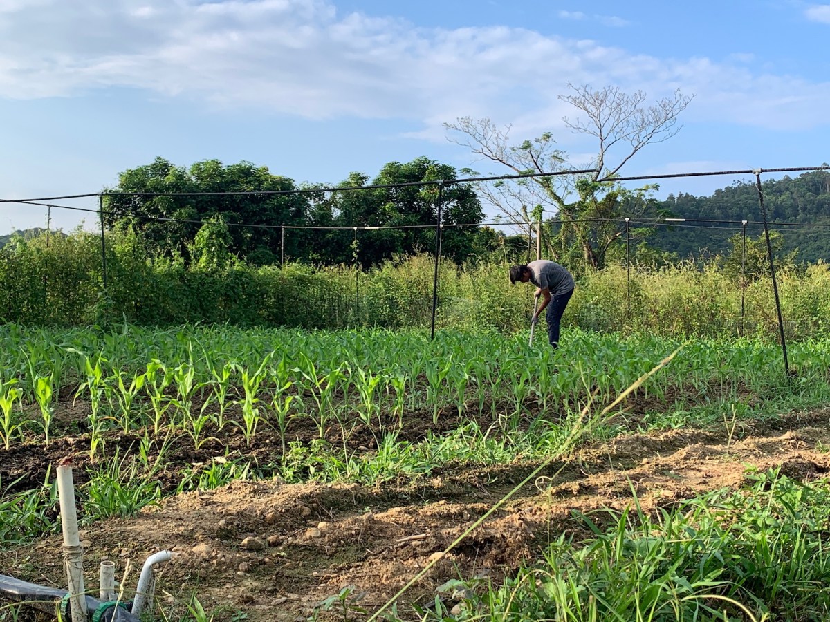 因人而異與因地制宜的農耕模式