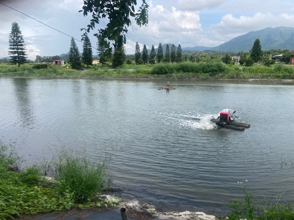 新田科技城爭議裡，區內農戶與養魚戶
