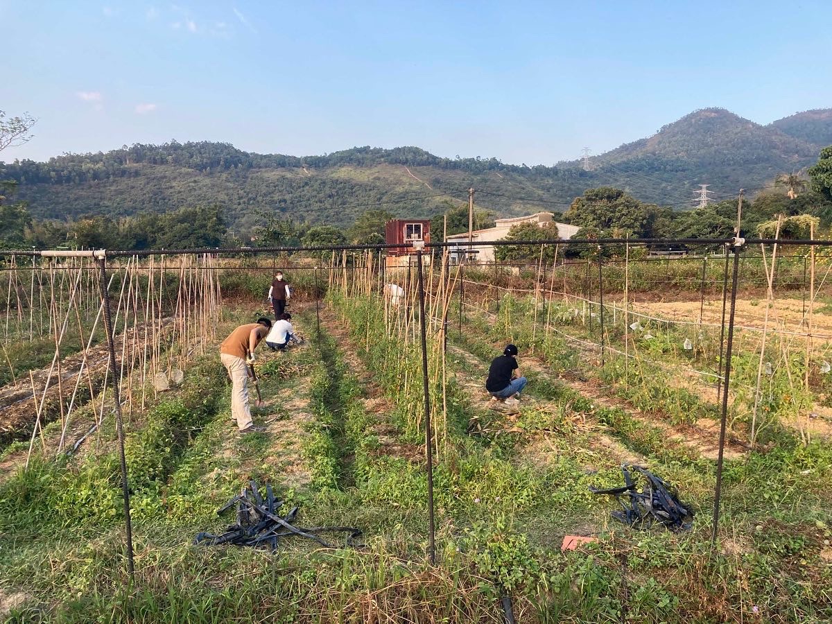 半年試煉，投身半農