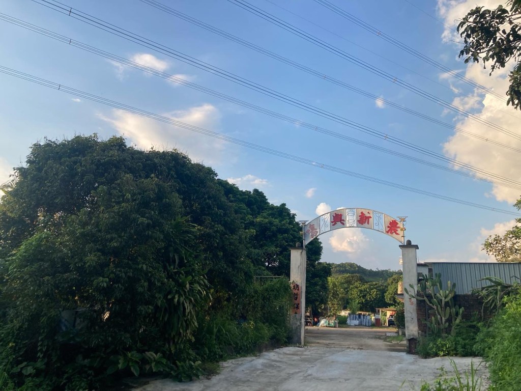 秋播又雜寫：新興農場的「字號制」到底是甚麼？