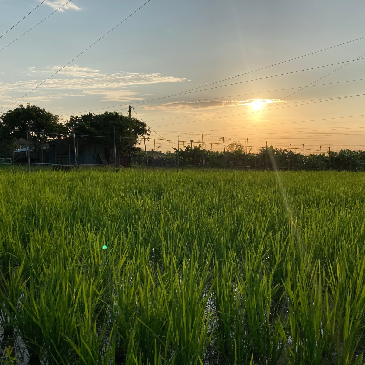 知天命而盡人事——新田、牛潭尾十年實踐筆記