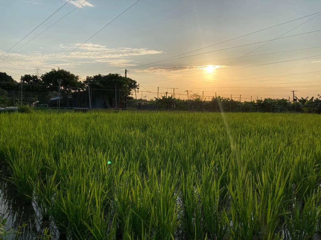 知天命而盡人事——新田、牛潭尾十年實踐筆記