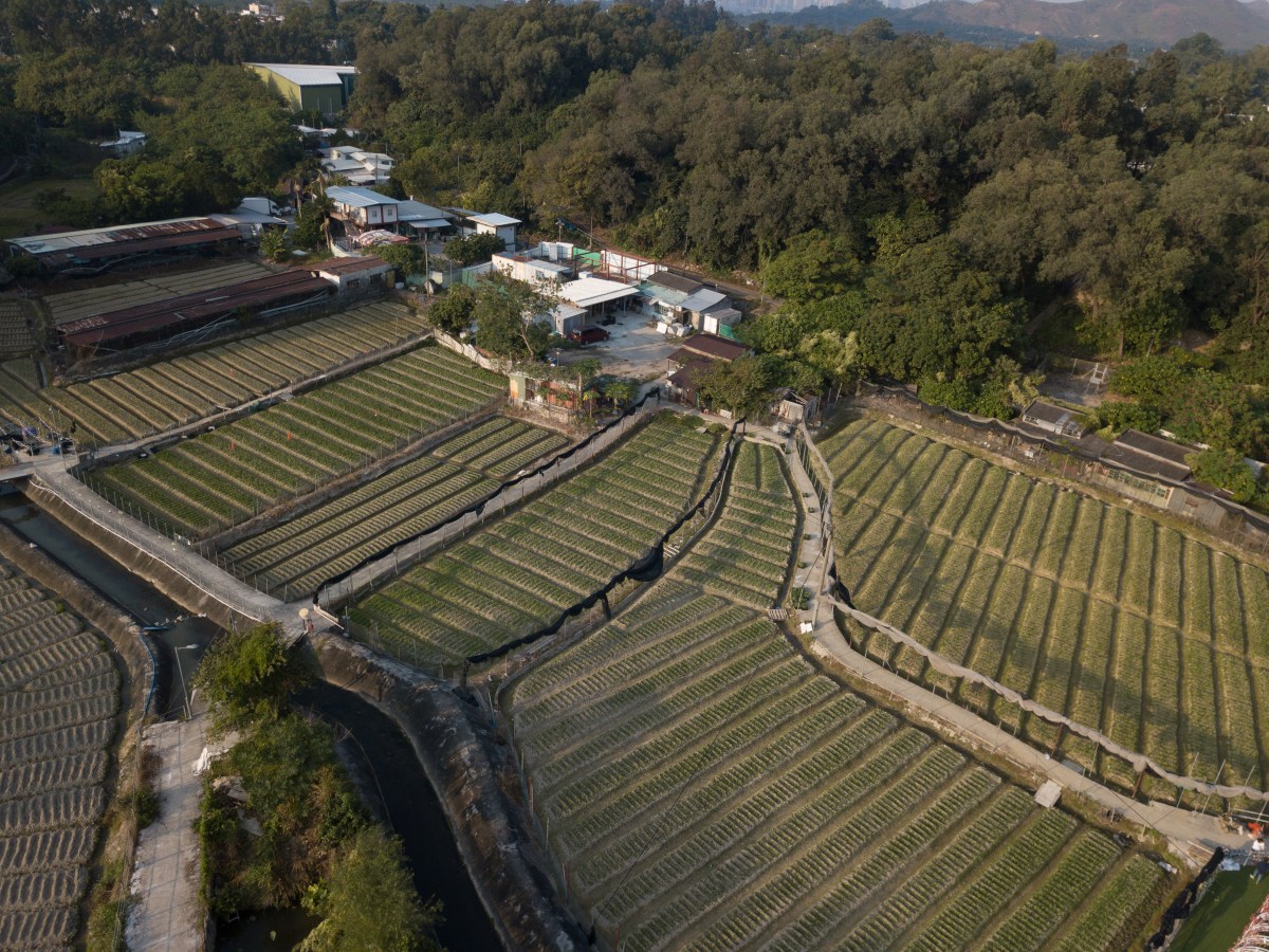 政府研究改劃255公頃綠化地帶 農業優先區研究變釋放可發展土地？