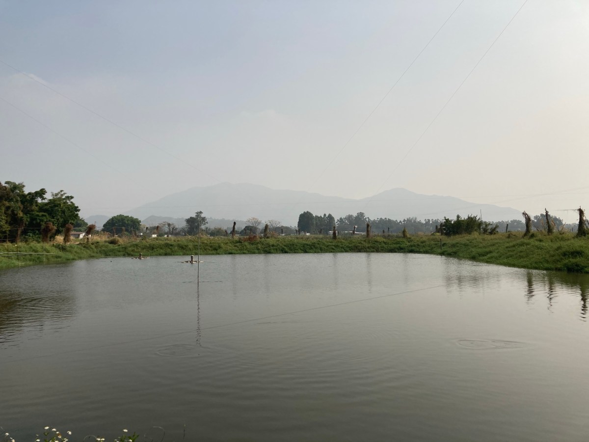 淺談土地糾紛：逆權侵佔好易打？查冊結果不反映實質業權？