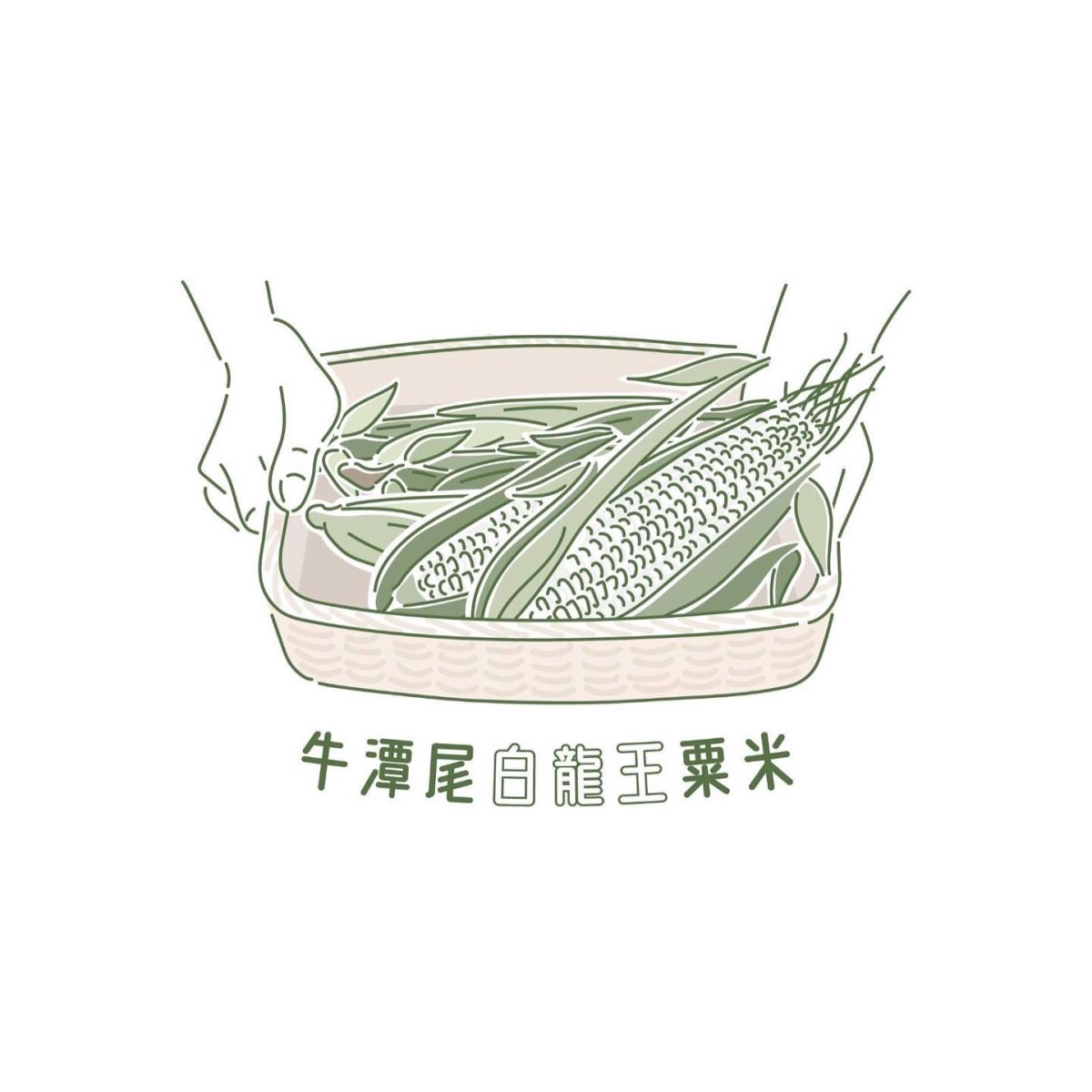 烏雲蓋頂、推土機前，種出鮮甜粟米