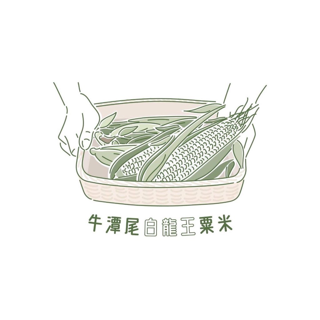 烏雲蓋頂、推土機前，種出鮮甜粟米