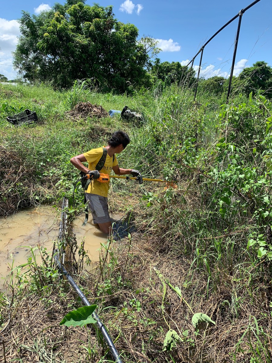莊敬自強 處變不驚——《阡陌之間》兩週年回顧與展望