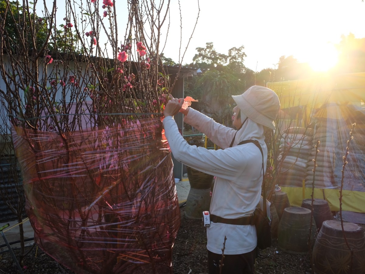 毋負時代 定格夕陽——以記錄作為力量，一齊同花農殺出黃昏