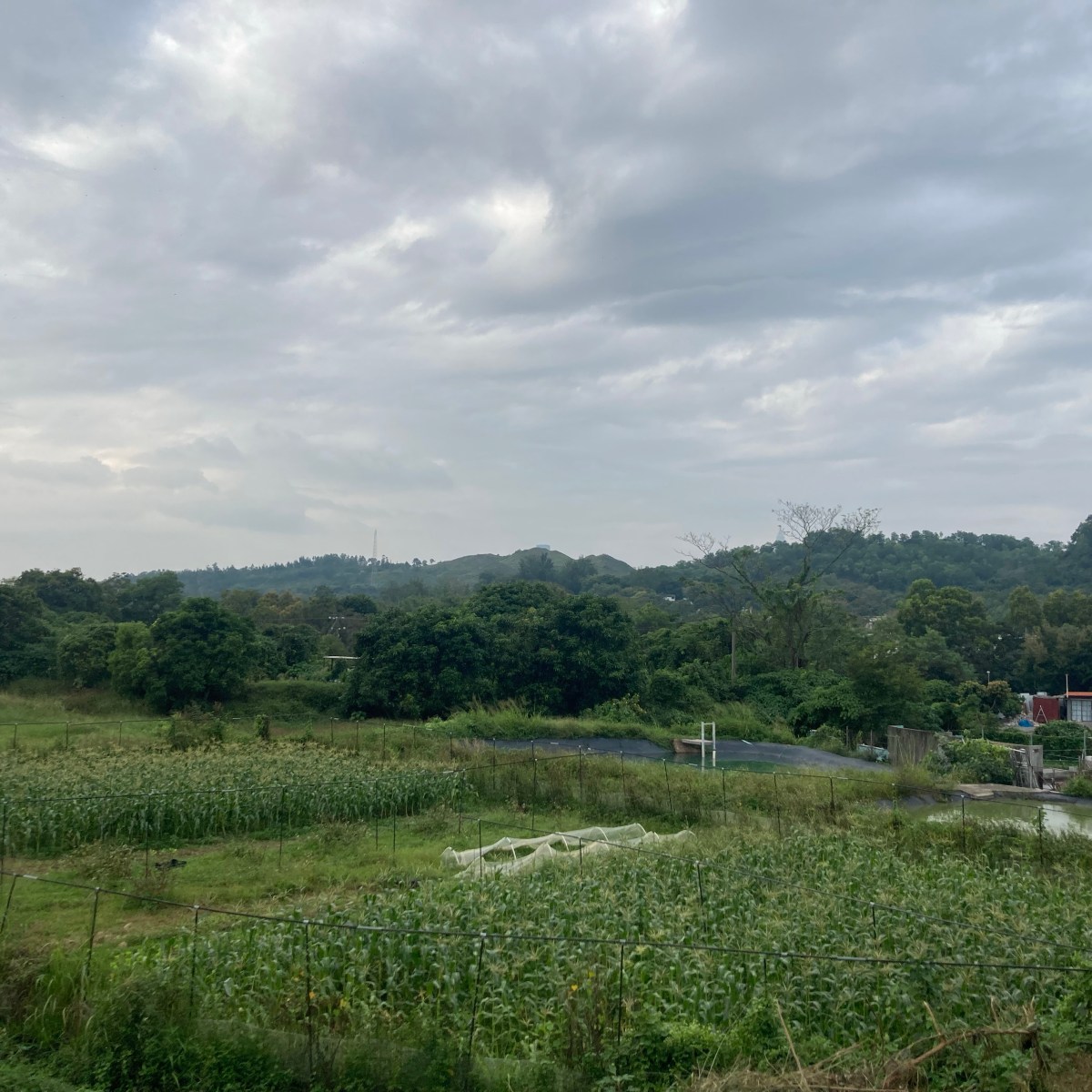 假如風光褪色，農業並不自然美麗