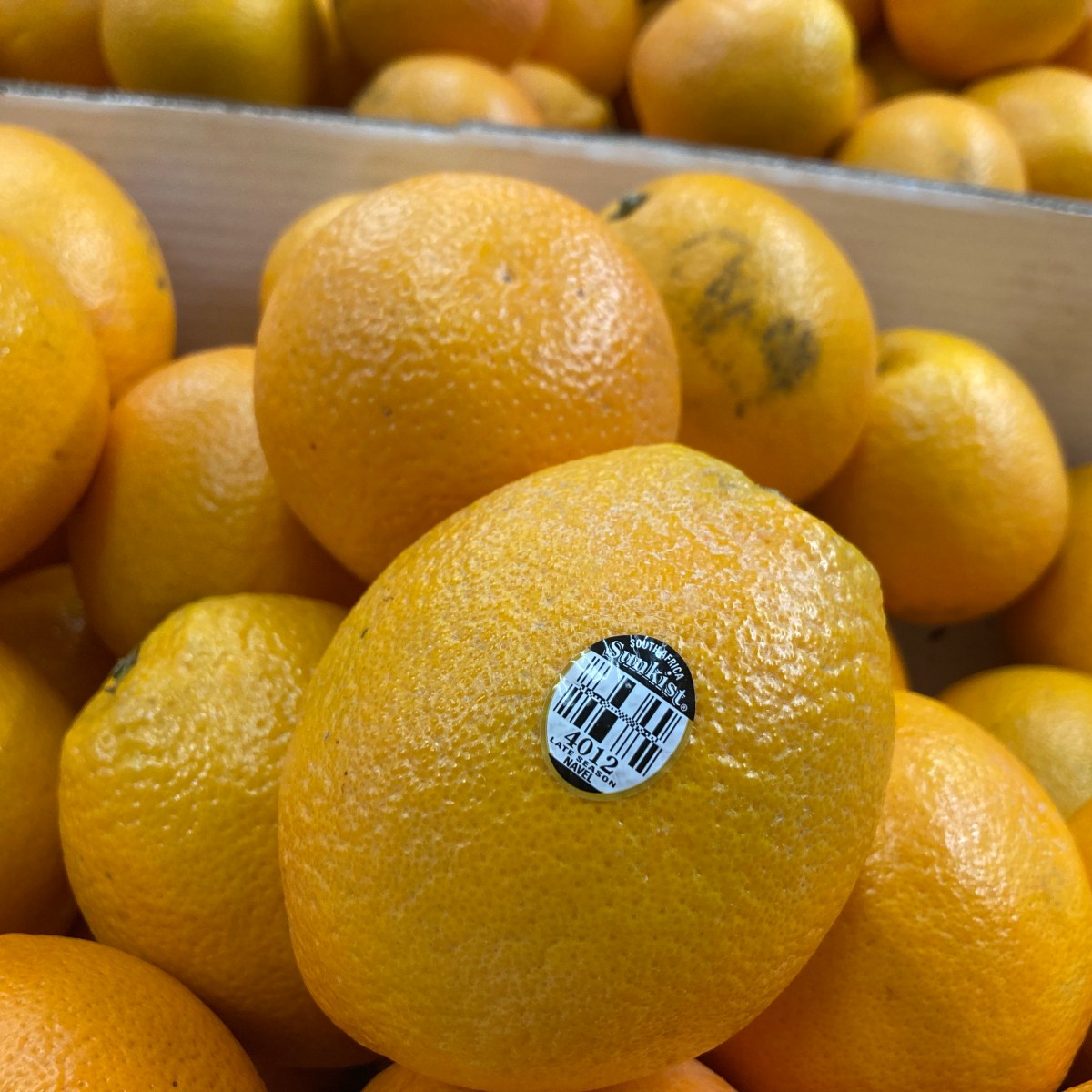 新奇士橙：農業協作典範