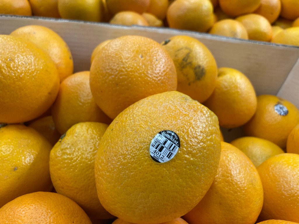 新奇士橙：農業協作典範